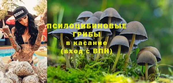 MDMA Premium VHQ Абаза