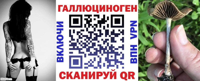 МЕГА зеркало  купить  сайты  Дмитровск  Псилоцибиновые грибы Cubensis 